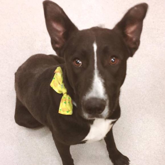 Meet your Posher, Lyn - Picture 1 of 1